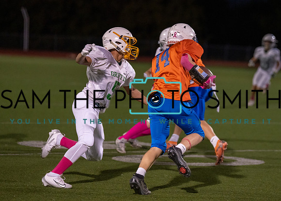 Cobb Vs. Griffin A-47