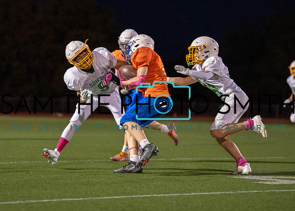 Cobb Vs. Griffin A-51