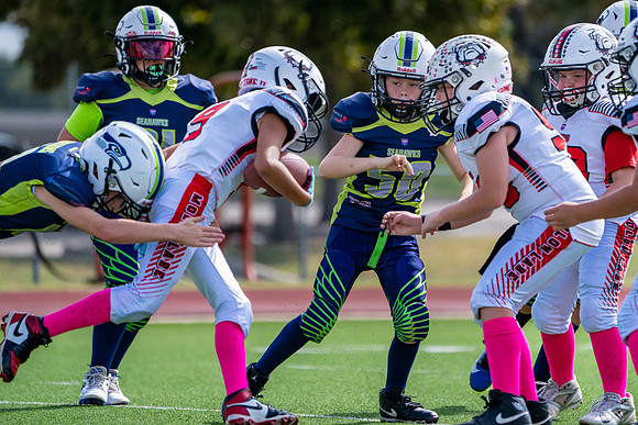10U Dawgs Vs. Seahawks-125