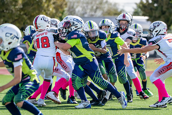 10U Dawgs Vs. Seahawks-150