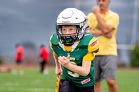 Chiefs Vs. Bears-18