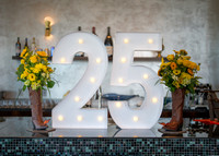 Luis & Ashley 25 Years!-14