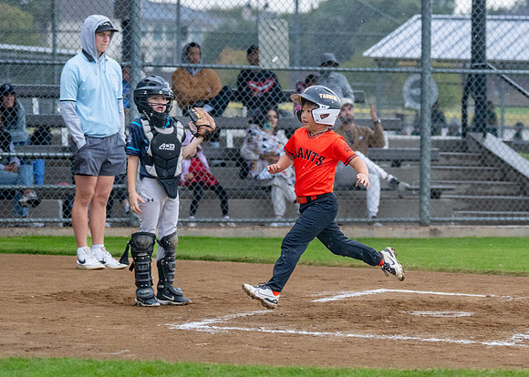 8U Giants-177