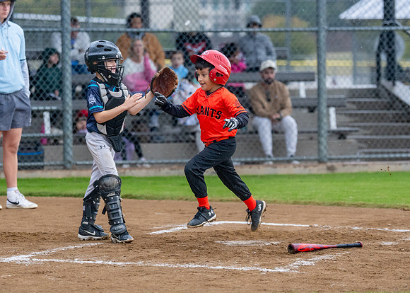 8U Giants-197