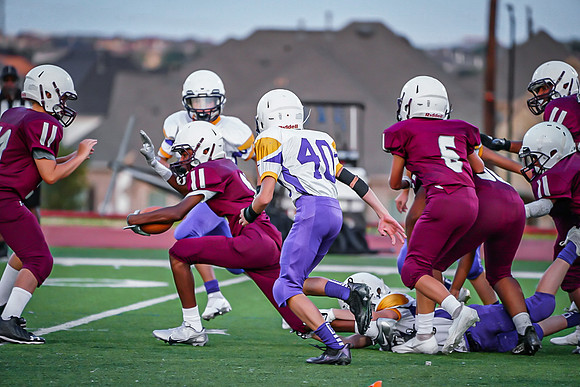 DSC01166 4