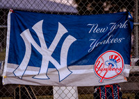 8U Yankees