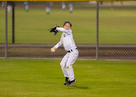 8U Yankees-139