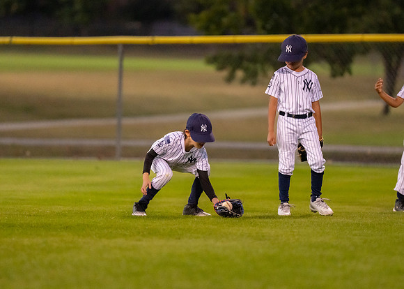 8U Yankees-142