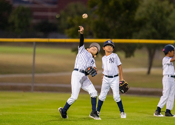 8U Yankees-144