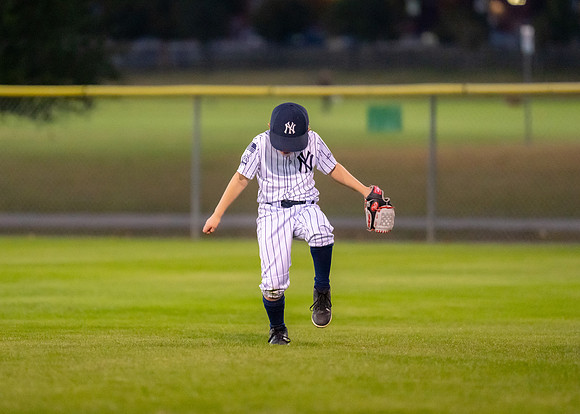 8U Yankees-149