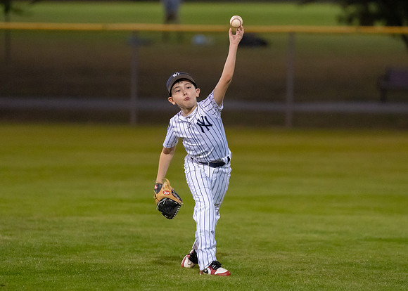 8U Yankees-153