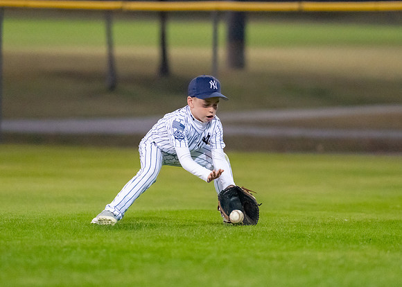 8U Yankees-150