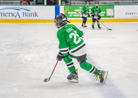 Hockey-5