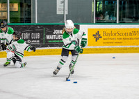 Hockey-6