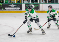Hockey-11