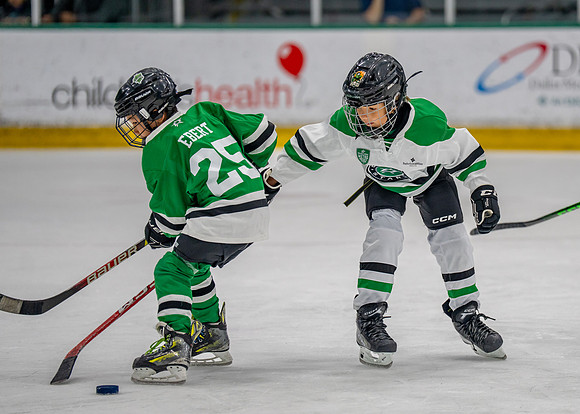 Hockey-48