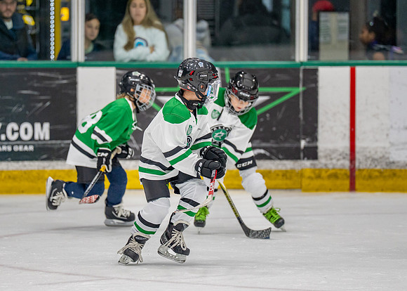 Hockey-80