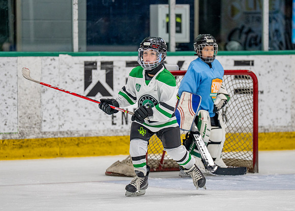 Hockey-87