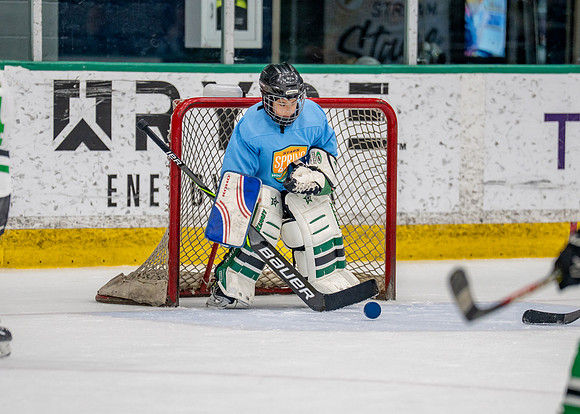 Hockey-101