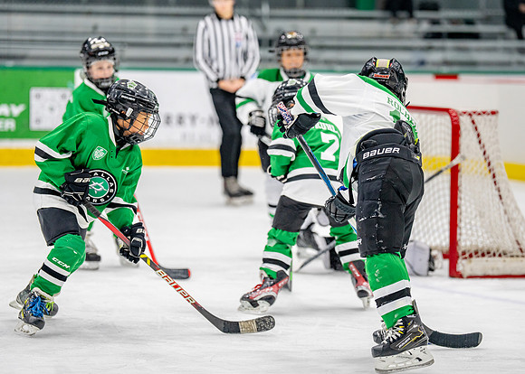Hockey-181