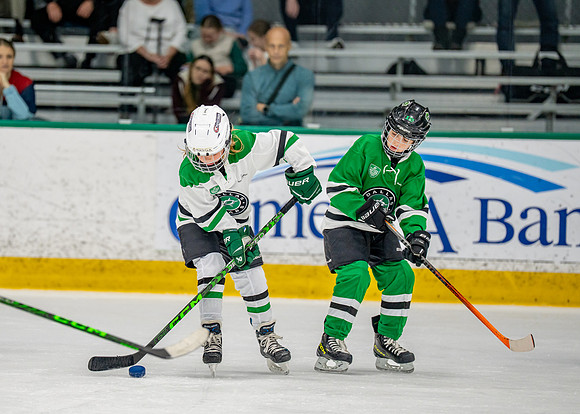 Hockey-213