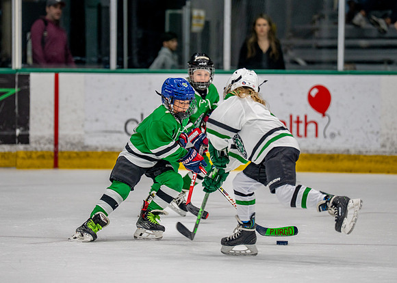 Hockey-247