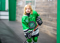 Hockey-2