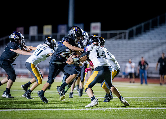 11U Steelers Vs. Ravens-149