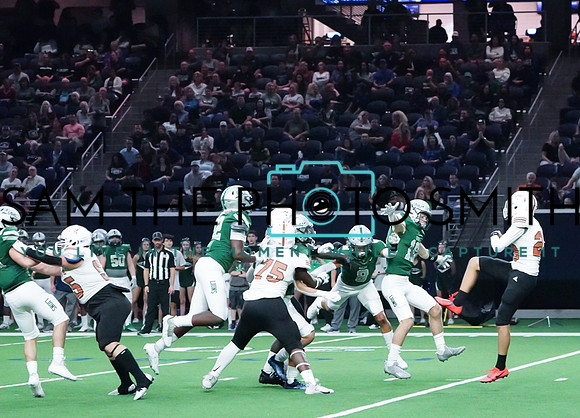 Vs. WT White-172