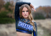 Belkin Cheer-10