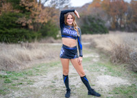 Belkin Cheer-9