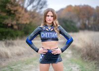 Belkin Cheer-8