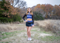 Belkin Cheer-20