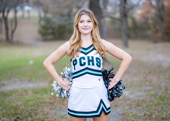 Belkin Cheer-120