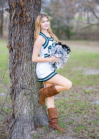 Belkin Cheer-126