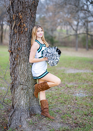 Belkin Cheer-128