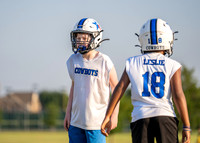 Cowboys-17