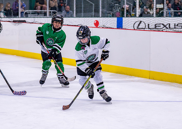 Hockey-3
