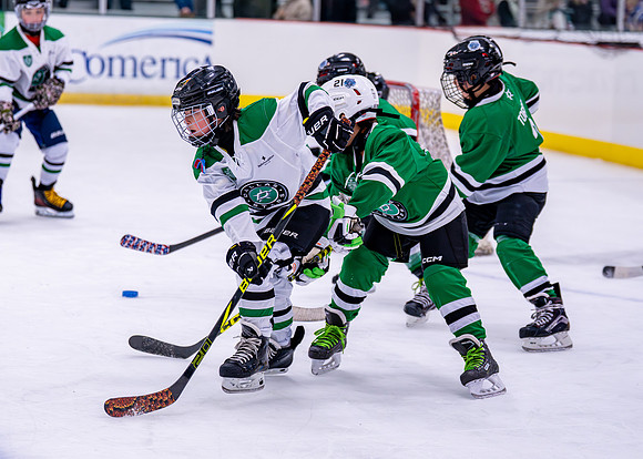 Hockey-5