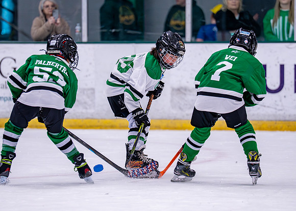 Hockey-100