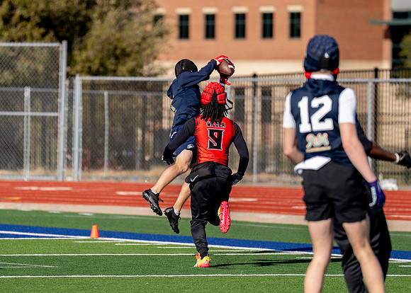 Honey Badger-201