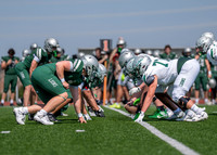 Spring Game-113