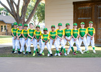 Ducks-302
