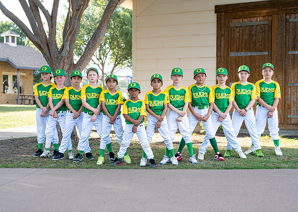 Ducks-302