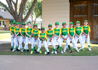 Ducks-299