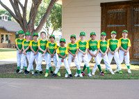 Ducks-303