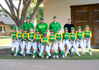 Ducks-306