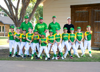 Ducks-308