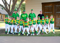 Ducks-309