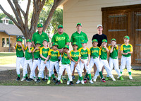 Ducks-310